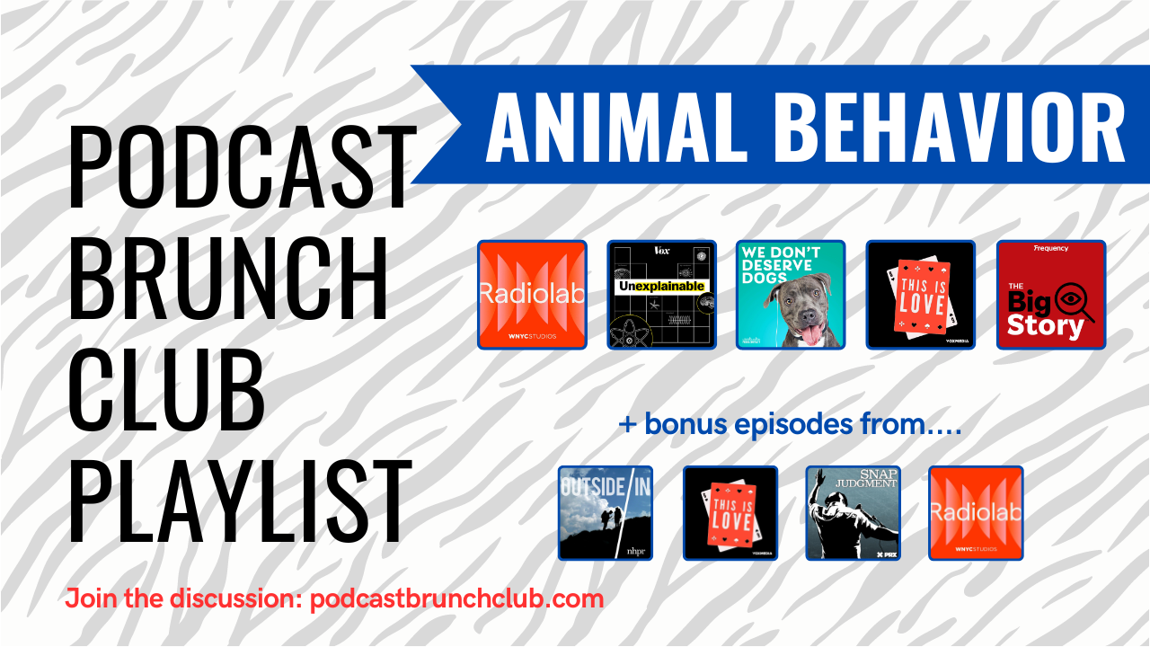 Podcast Brunch Club playlist: ANIMAL BEHAVIOR