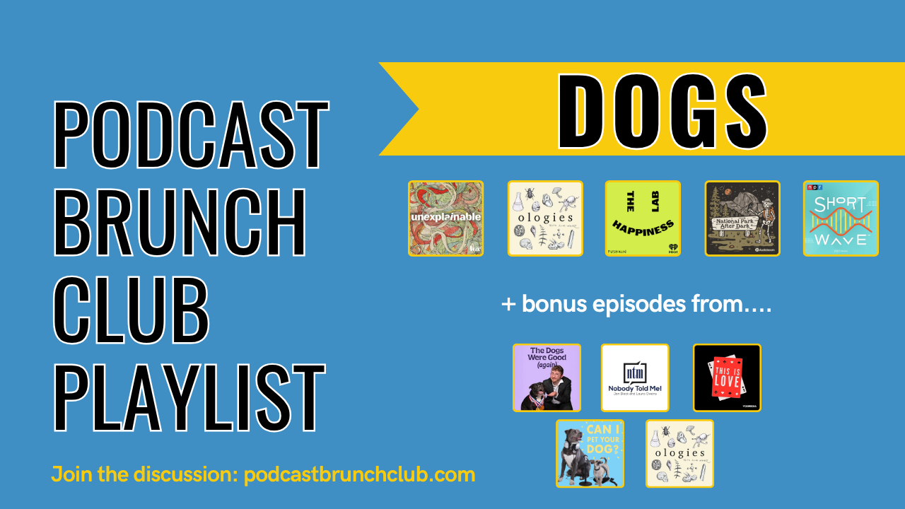 DOGS: Podcast Brunch Club podcast playlist
